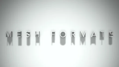 Mesh formats 3D title animation white text on a white background Stock Footage 299370537