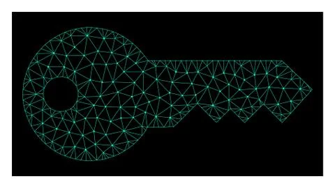 Mesh Key in Polygonal Carcass Vector Style 库存插图