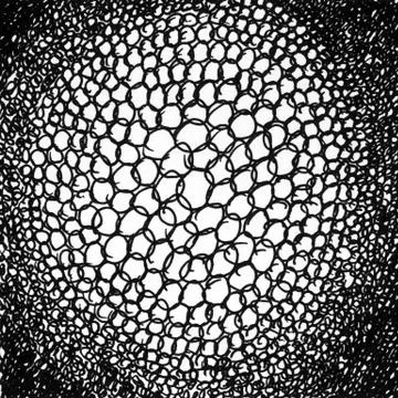 Mesh, net and bubbles ink texture background. Vintage black and white illustr Stock Illustration