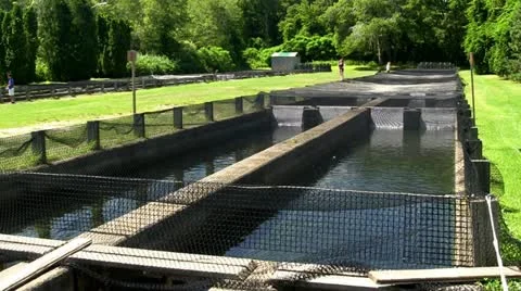 Mesh nets over fish hatchery raceway; 2 Stock Footage 12186162