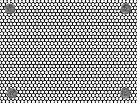 Mesh Stock Photos