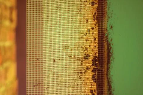 Mesh for plastering Stock Photos