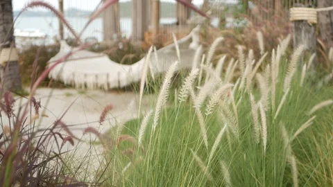 Mesh retro hipster hammock hanging in garden with high green grass in daylight Stock Footage 119124128