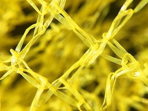 Mesh, yellow plastic mesh for fruit Stock Photos