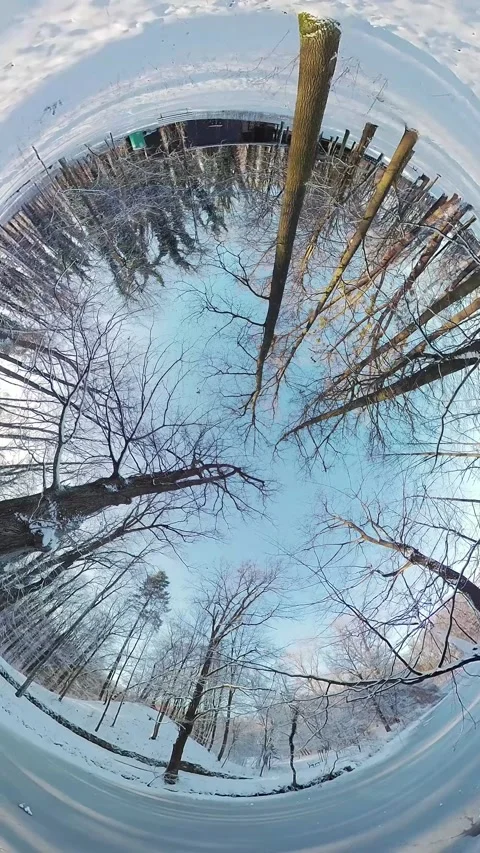 Mesmerizing 360-Degree Winter Forest Panorama with Snow-Covered Trees and a Stock Footage 265133947