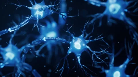 A mesmerizing 3D animation depicts neurons and synapses firing neural impul.. Stock Footage 332151556