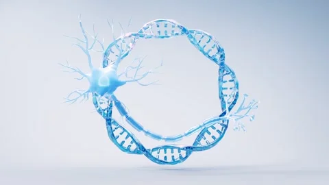 A mesmerizing 3d animation of a stylized neuron cell and a circular dna hel.. Stock Footage 327532150