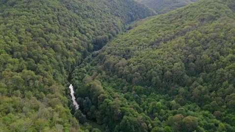 A mesmerizing aerial drone view flying above a dense green forest with rocky Stock Footage 285408872