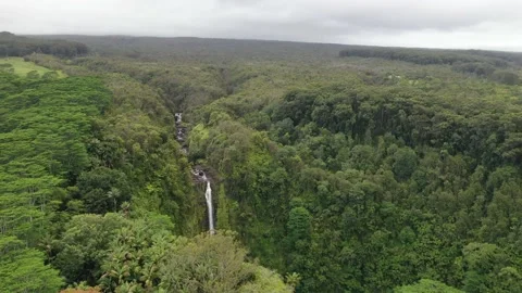 Mesmerizing Aerial Views of Forest Falls and Surrounding Greenery Vídeo Stock 165137053