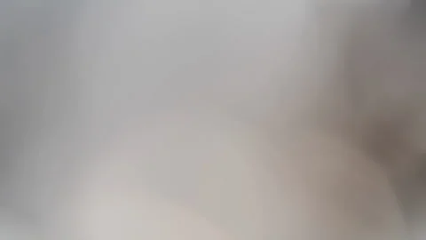 Mesmerizing array of bokeh effects and lens flares 動画素材 289000150