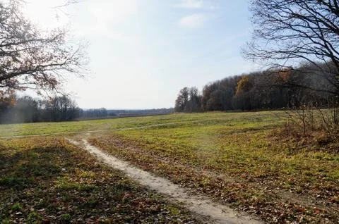 Mesmerizing autumn view Stock Photos