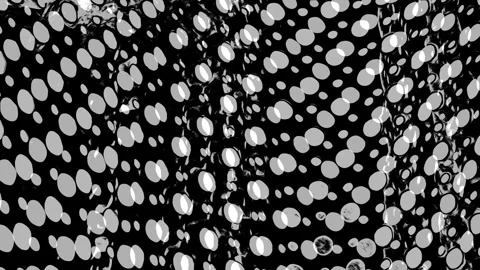 Mesmerizing Black and White Spots &amp; Dot Pattern in Motion Stock Footage 304987331