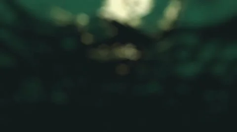 Mesmerizing Bokeh 07 Stock Footage 43396303