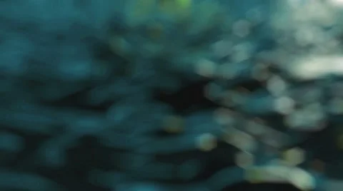 Mesmerizing Bokeh 10 库存影片 43396461