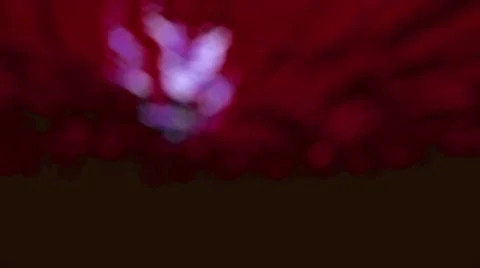 Mesmerizing Bokeh 15 Stock Footage 43396474