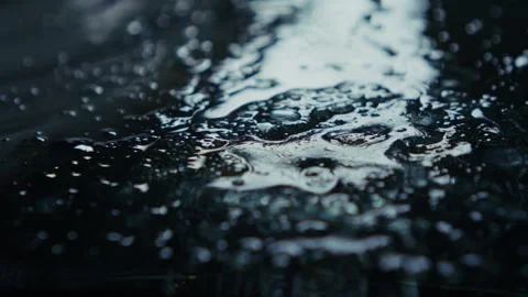 Mesmerizing Captivating Raindrops Resting on a Smooth Dark Surface in an Stock Footage 309421609