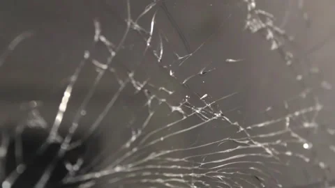 A mesmerizing close-up of a spider web captures intricate details as sunlight Stock Footage 292760276
