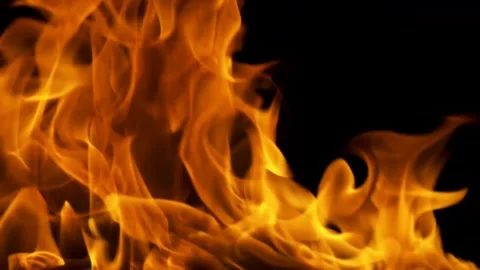 Mesmerizing Dance of Flames Against a Deep Black Background Display Atmospher Vídeo Stock 341920261