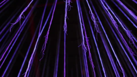 Mesmerizing dance of lavender ribbons in the night. Stock Footage 276205205