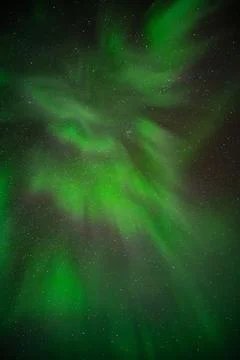 A mesmerizing display of green aurora lights fills the night sky, creating .. Stock Photos