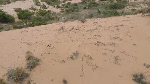 Mesmerizing Dune Landscape Stock Footage 239168352