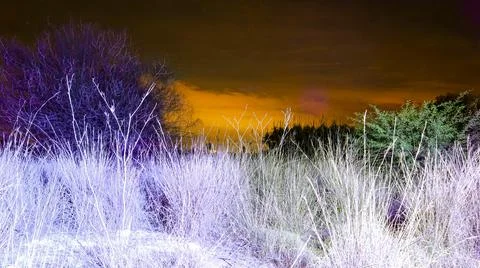 Mesmerizing evening landscape featuring ultraviolet grass and bushes under .. Foto stock