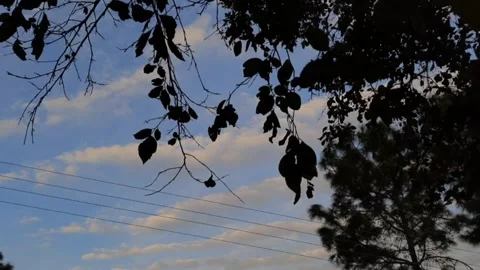 Mesmerizing Evening Orange Colored Sky View: A Stunning Sunset Spectacle" Video stock 302909285