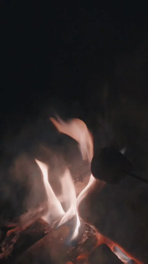 Mesmerizing flames in a fire place in slow motion 스톡 동영상 335807359