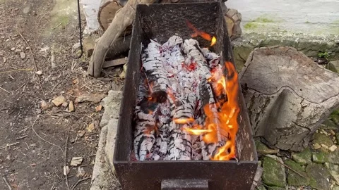 Mesmerizing flames over smoldering logs in a cozy outdoor campfire Stock Footage 303807999