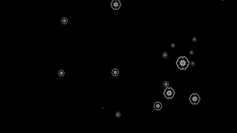 Mesmerizing Floral Pattern Animation on Dark Background with Floating Abstr.. Stock Footage 344510585