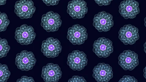 Mesmerizing glow circular pattern of purple and blue flowers on black Stock Footage 255984951