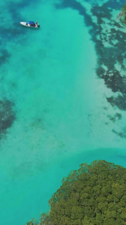 Mesmerizing Journey through the Crystal-Clear Waters of the Caribbean Stock Footage 282426487