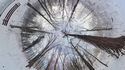 Mesmerizing Journey through a Snowy Forest A 360-Degree Winter Wonderland Stock Footage 265384339
