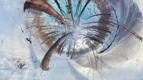 Mesmerizing Journey through a Snowy Forest A 360-Degree Winter Wonderland Video stock 267130131