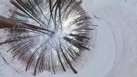 Mesmerizing Journey through a Snowy Forest A 360-Degree Winter Wonderland 動画素材 268788846