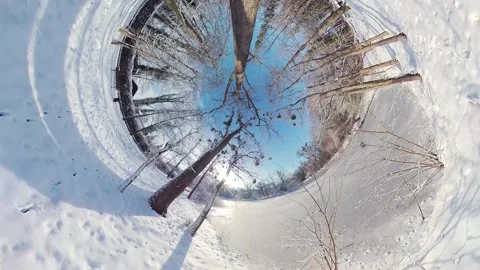 Mesmerizing Journey through a Snowy Forest A 360-Degree Winter Wonderland Stock Footage 270074177