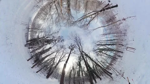 Mesmerizing Journey through a Snowy Forest A 360-Degree Winter Wonderland Stock Footage 270376872