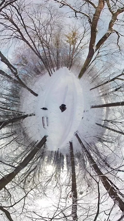 Mesmerizing Journey through a Snowy Forest A 360-Degree Winter Wonderland Stock Footage 270641463