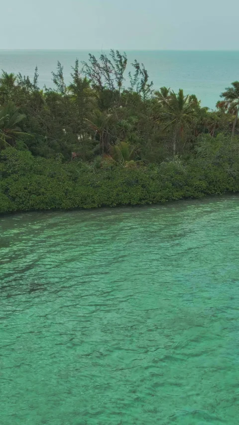 Mesmerizing Journey to a Tropical Paradise Exploring the Enchanting Island of Stock Footage 282667663