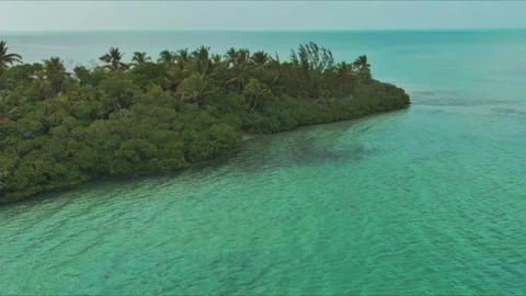 Mesmerizing Journey to a Tropical Paradise Exploring the Enchanting Island Oasis Stock Footage 288045539