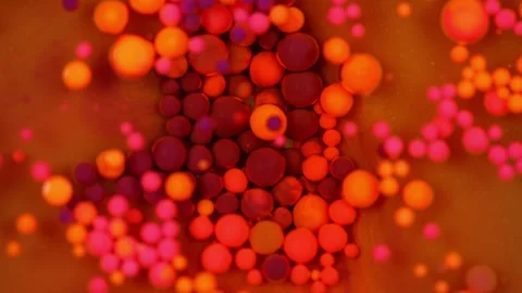 Mesmerizing Macro: Top View of Multicolored Bubbles in Acrylic Paint and Oil Stock Footage 279563866
