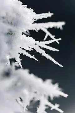 A mesmerizing macro view capturing the intricate beauty of individual snowf.. Stock Photos