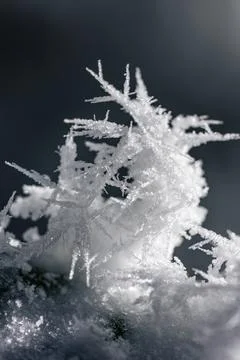 A mesmerizing macro view capturing the intricate beauty of individual snowf.. Stock Photos