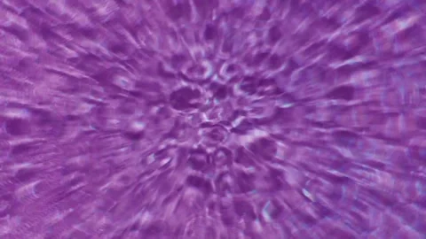 Mesmerizing magenta wave ripple patterns animation Stock Footage 244166219