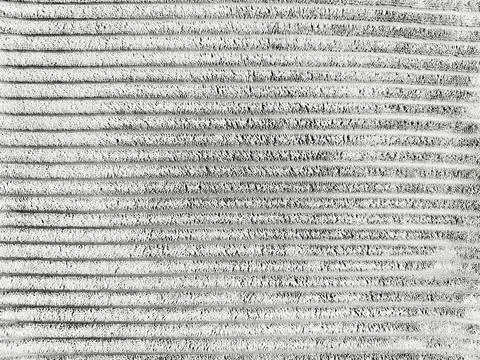 Mesmerizing monochrome horizontal lines form grainy textured abstract pattern Stock Photos