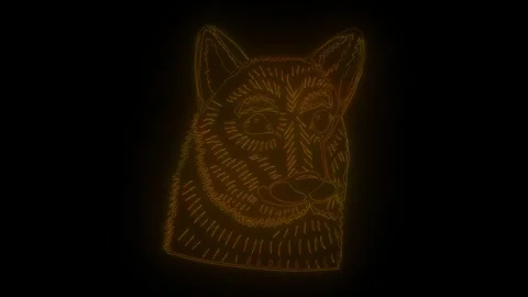 Mesmerizing neon outline of a leon with wavy edges on a dark background Stock Footage 319299261