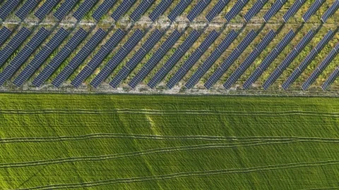 A mesmerizing panoramic view of solar panels Stock Footage 240339969