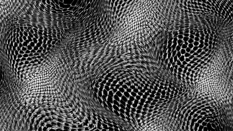 This mesmerizing seamless texture features a distorted grid of circles Stock Footage 317253764