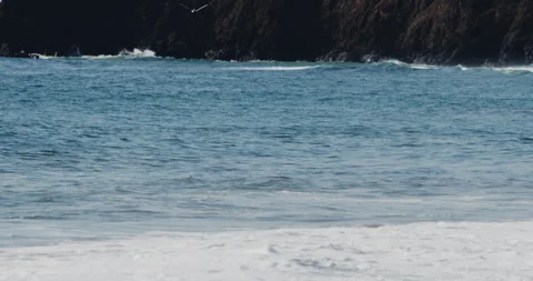 Mesmerizing Slow Motion Footage of Waves Crashing on the Beach - Stock Video Stock Footage 239479857