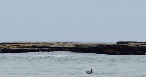 Mesmerizing Slow Motion Waves Crashing on Rocky Beach - High-Quality Stock Stock Footage 240966700